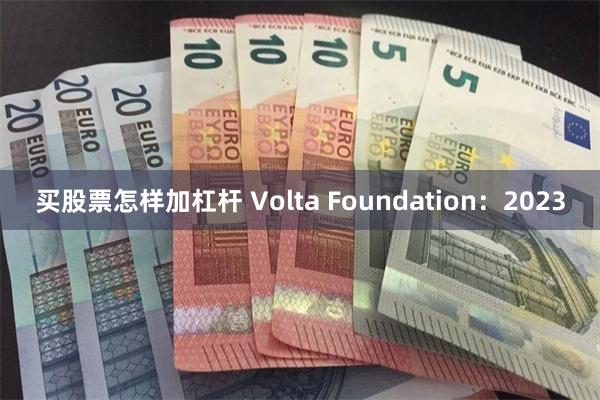 买股票怎样加杠杆 Volta Foundation：2023