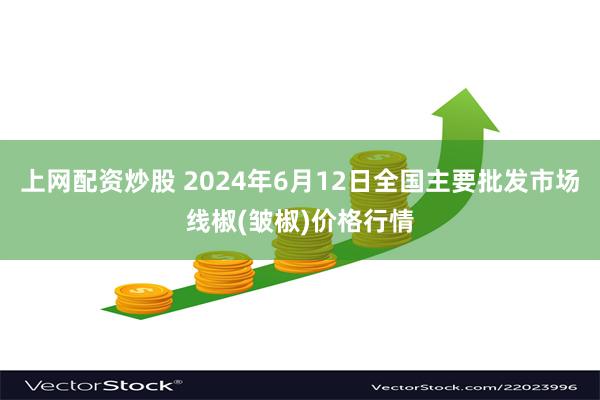 上网配资炒股 2024年6月12日全国主要批发市场线椒(皱椒)价格行情