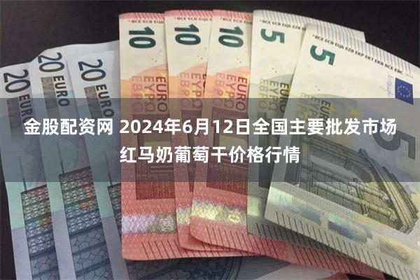 金股配资网 2024年6月12日全国主要批发市场红马奶葡萄干价格行情