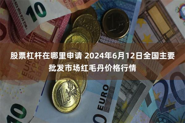 股票杠杆在哪里申请 2024年6月12日全国主要批发市场红毛丹价格行情