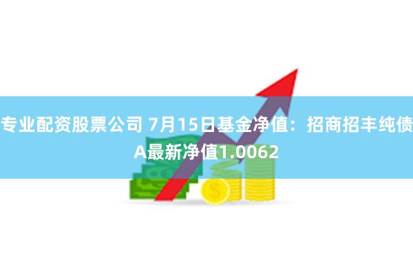 专业配资股票公司 7月15日基金净值：招商招丰纯债A最新净值1.0062