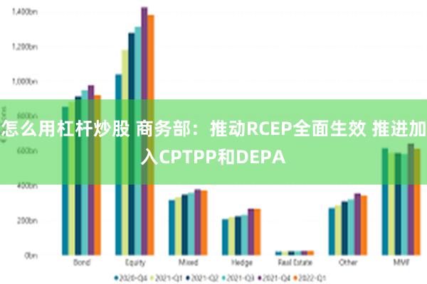 怎么用杠杆炒股 商务部：推动RCEP全面生效 推进加入CPTPP和DEPA