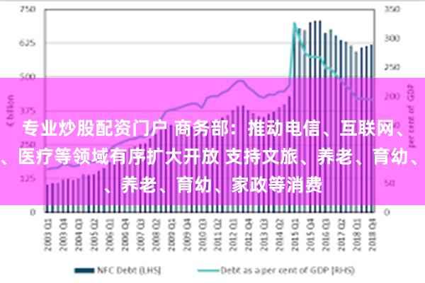 专业炒股配资门户 商务部：推动电信、互联网、教育、文化、医疗等领域有序扩大开放 支持文旅、养老、育幼、家政等消费