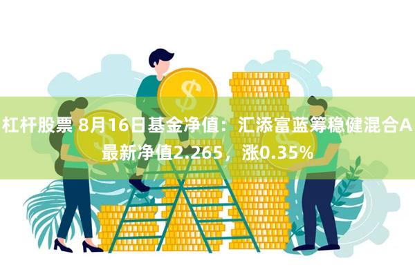 杠杆股票 8月16日基金净值：汇添富蓝筹稳健混合A最新净值2.265，涨0.35%