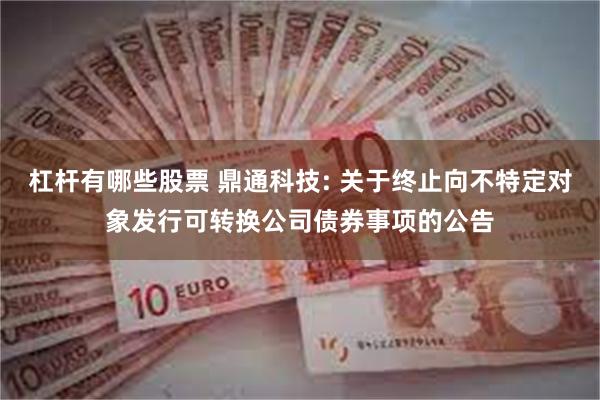 杠杆有哪些股票 鼎通科技: 关于终止向不特定对象发行可转换公司债券事项的公告