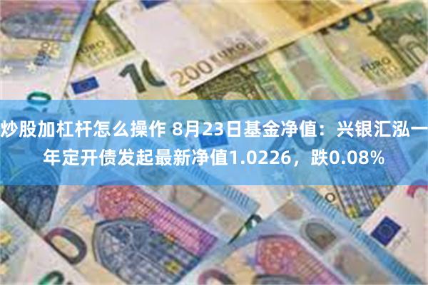 炒股加杠杆怎么操作 8月23日基金净值：兴银汇泓一年定开债发起最新净值1.0226，跌0.08%