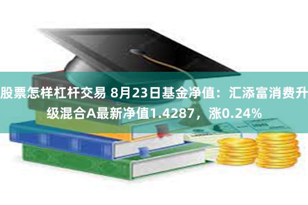 股票怎样杠杆交易 8月23日基金净值：汇添富消费升级混合A最新净值1.4287，涨0.24%