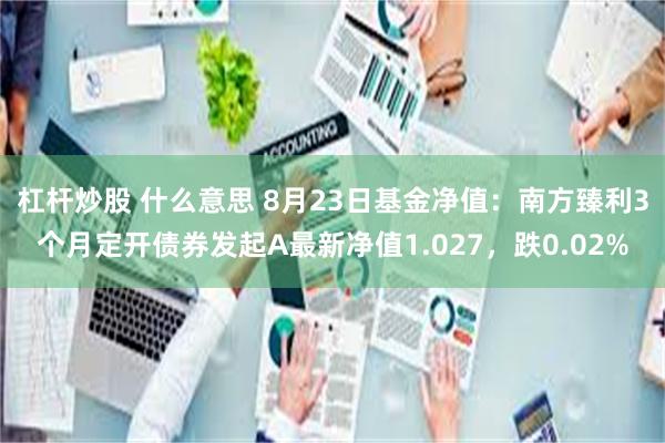 杠杆炒股 什么意思 8月23日基金净值：南方臻利3个月定开债券发起A最新净值1.027，跌0.02%