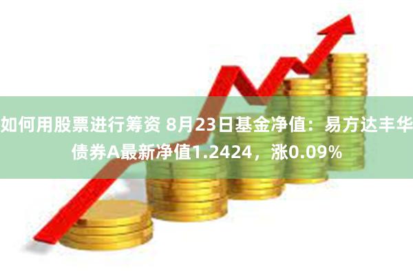 如何用股票进行筹资 8月23日基金净值：易方达丰华债券A最新净值1.2424，涨0.09%