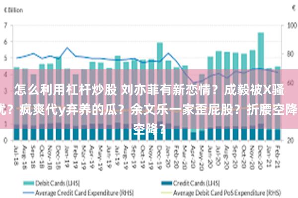 怎么利用杠杆炒股 刘亦菲有新恋情？成毅被X骚扰？疯爽代y弃养的瓜？余文乐一家歪屁股？折腰空降？