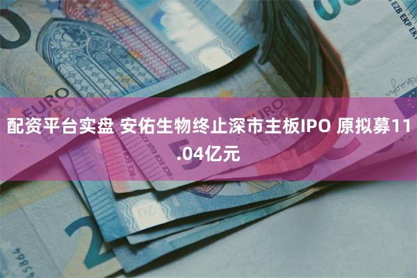 配资平台实盘 安佑生物终止深市主板IPO 原拟募11.04亿元