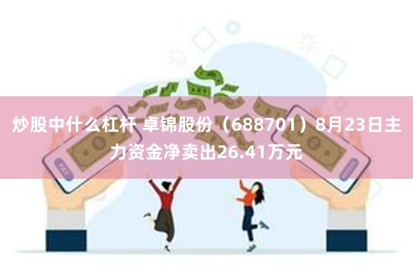 炒股中什么杠杆 卓锦股份（688701）8月23日主力资金净卖出26.41万元