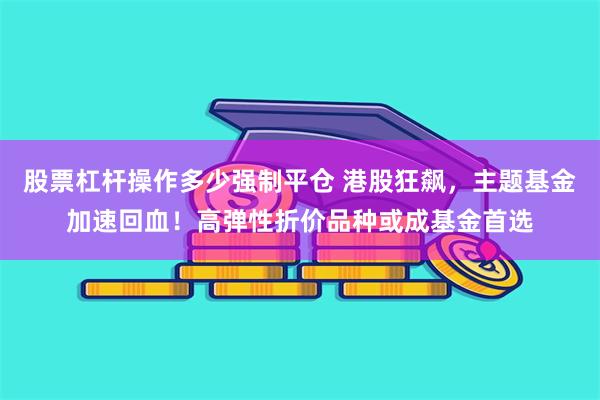 股票杠杆操作多少强制平仓 港股狂飙，主题基金加速回血！高弹性折价品种或成基金首选