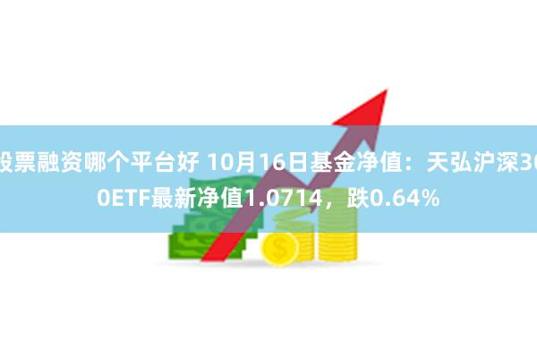 股票融资哪个平台好 10月16日基金净值：天弘沪深300ETF最新净值1.0714，跌0.64%