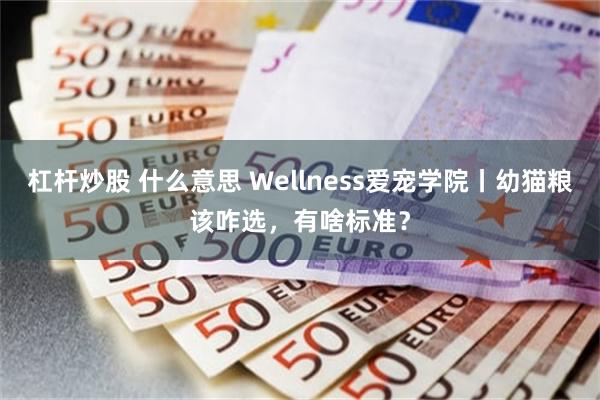 杠杆炒股 什么意思 Wellness爱宠学院丨幼猫粮该咋选，有啥标准？