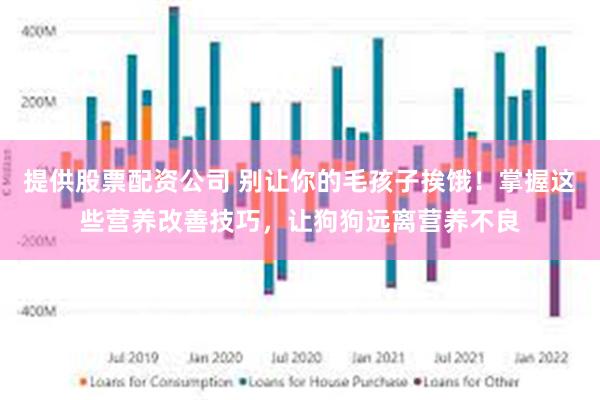 提供股票配资公司 别让你的毛孩子挨饿！掌握这些营养改善技巧，让狗狗远离营养不良