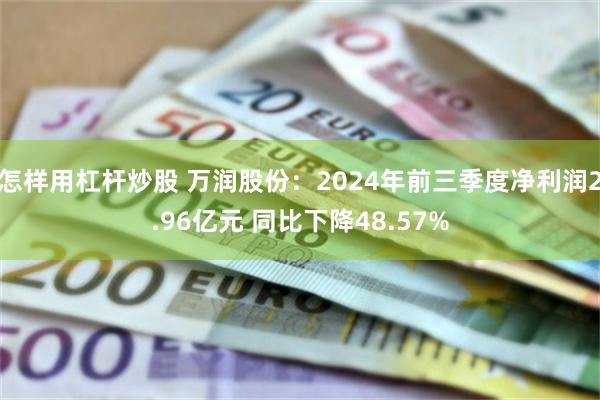 怎样用杠杆炒股 万润股份：2024年前三季度净利润2.96亿元 同比下降48.57%